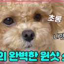 토리농장 이미지