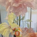 CU장기현대점 | 감성 숙소 추천 호텔 HLB 이그제큐티브 더블 듀플렉스 패밀리 레지던스 숙박 조식 꿀팁 가성비 호캉스 후기