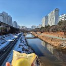 새 | 열대우림을 위한 헌정글(부용천 새 후기)