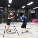 팀엑스복싱 이미지