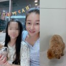 럭셔리애견샵