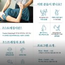 부평애견사 | [부산 중구 체형교정] 전신 스트레칭 잘하는 "스트레치베어 부산점"