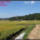 석포축사 이미지