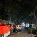 공덕 야장 서울 포장마차 거리 노포 &#39;마포집&#39; 후기 추천 (ft. 위치, 화장실)