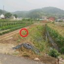 방동보건진료소 이미지