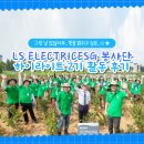 독정2리 | 그런 날 있잖아요.. 빛을 밝히고 싶은.. ☆★LS ELECTRIC ESG 봉사단 하이라이트 2기 활동 후기