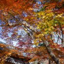 고창종로약국 이미지