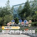 숲속에 안뜰 | 용인자작나무숲 수국축제 실시간 개화현황 하나도 안피었어요! (애견동반 가능)