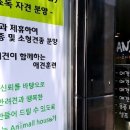 애니몰하우스 이미지