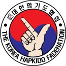 대한합기도 이미지
