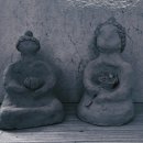 흙과 나무 이미지