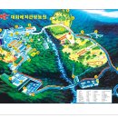 (주)대화관광