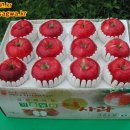 가을농원 이미지