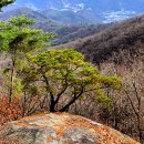 고골전주한정식 | 산성길9(벌객샘능선1, 2, 비와 찻잔 사이 / 양현경)