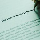 토요바이올린B 이미지