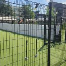 어뮤즈퍼피 | 천안 애견 동반 카페, 보리랑 같이 가는 천안 댕댕이 천국 어뮤즈 퍼피에서 귀염뽀짝 애니멀 마들렌 먹방!