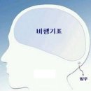 빌리짱의 보라: 여행준비-세퍼 50% 프로모션 그리고 여름휴가의 계획 변경 이미지