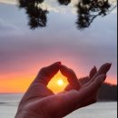 사랑이 머무는 미래 이미지