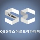 에스이골프 이미지