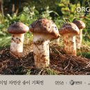 영덕푸드 이미지