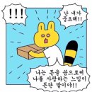 소로4-사정6호선 | 💍 결혼반지 완전정복 2편 | 왜 까르띠에 말고 티파니였을까 - 티파니 포에버 실사용 후기
