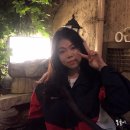 혜화상회