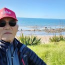 6월 13일 테레사 리딩 Long Bay Park, Walk &amp; bbq 이미지