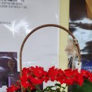커피향제곱