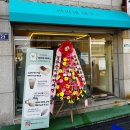 미리네 | 인천 서구 카페 인천애견동반카페 미리네 하우스, 반려견과 함께 다녀온 감성카페 후기