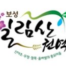 일림산권역