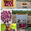 우솔농장 이미지