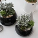 서부할인마트 이미지