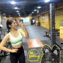 레오짐(LEOGYM) | [공지] [시지운동] 시지신매광장 운동 추천 레오짐