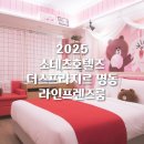 소테츠호텔즈 더 스프라지르 서울 명동 | [서울] 4살 아기와 단둘이 서울여행:: 소테츠호텔즈 더 스프라지르 서울 명동 (숙소)_내돈내산 솔직후기