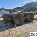 대성주유소 이미지