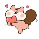 타이어0싼집 이미지