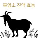 시골흑염소 이미지