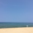 동해바다 네이버블로그
