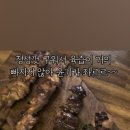 도솔로 이미지
