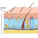 비오한의원 이미지