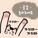 고양이마법사 이미지