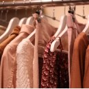 유행세탁 이미지