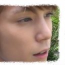 시로씨 이미지
