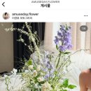 🌸가성비 플라워 디렉팅 업체 계약 후기🤍 (어뮤즈데이, 짝꿍이벤트)
