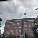 엠지신라 | 서울신라호텔 그랜드 코너 디럭스룸 후기🏨