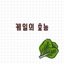 녹즙나라 이미지