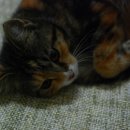 진숙농장 이미지