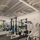 찐 바디핏 이미지