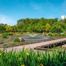 화명힐링의원 이미지