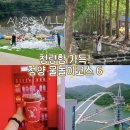 청양맥문동영농조합 | 충남 청양 가볼만한곳 6 충청도 계곡 여행 주말 물놀이